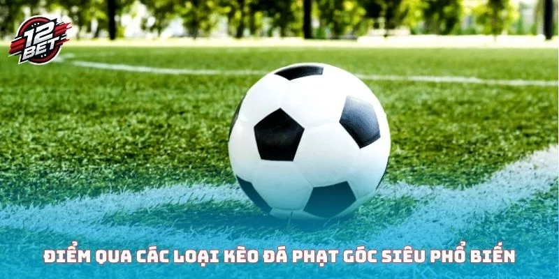 Đá Phạt Góc - Tìm Hiểu Kỹ Thuật Và Các Kèo Cược Cơ Bản 5 Điểm qua các loại kèo đá phạt góc siêu phổ biến