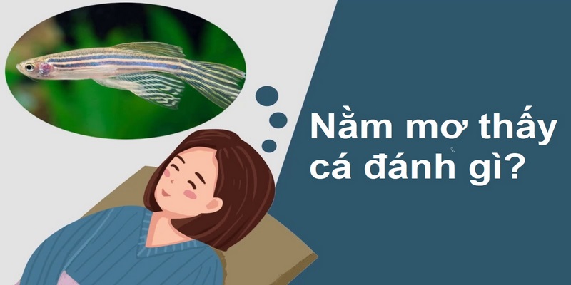 Nằm Mơ Thấy Cá Là Điềm Hung Hay Cát, Đánh Số Nào Thắng Lớn? 4 Nằm mơ thấy cá những con nào để vào bờ?